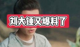 刘大锤爆料合集视频大全,揭秘娱乐圈幕后真相