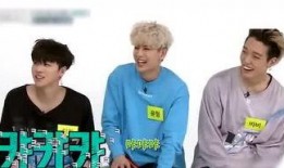 丸子娱乐爆料怎么做,明星幕后故事大曝光